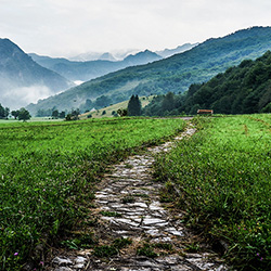 2025 Premio Services Year in Review