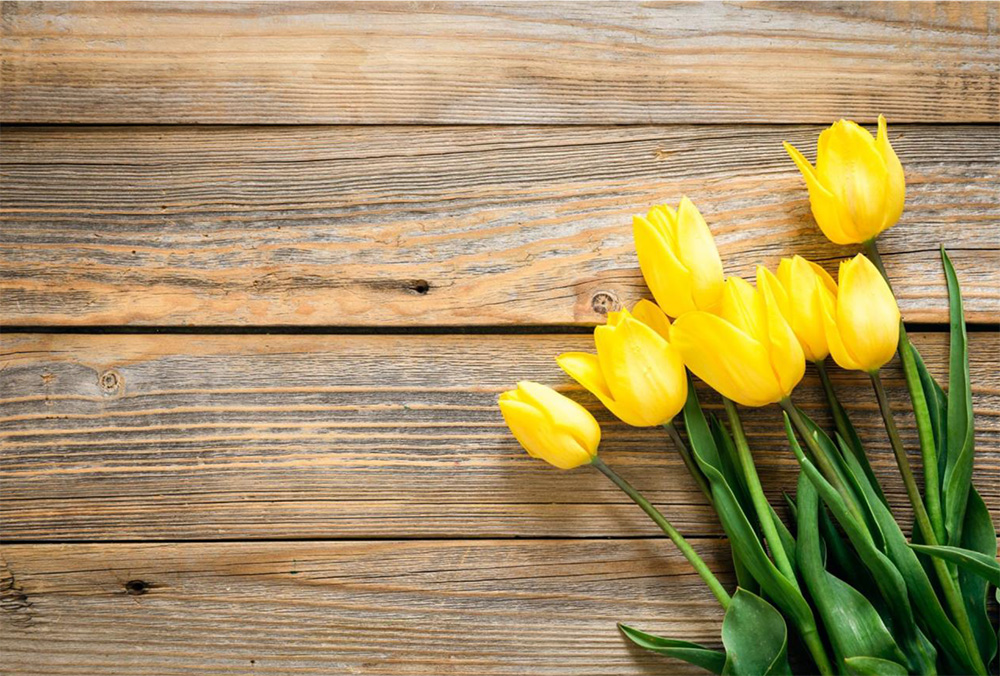 Idaho Gives: Empowering Nonprofits Across the Gem State